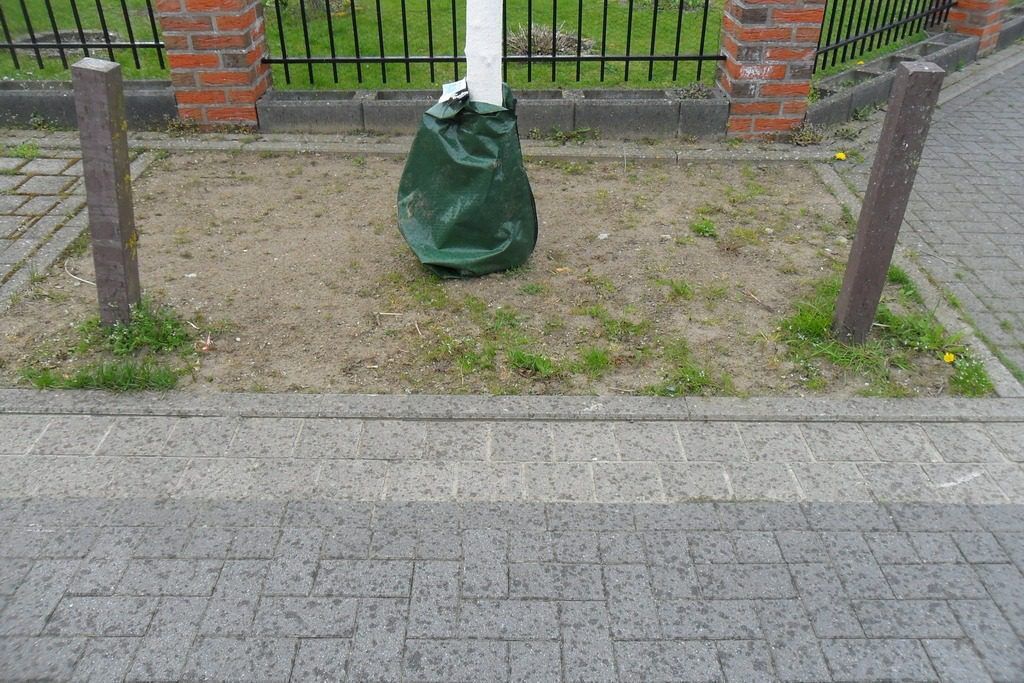 An der Masch April 2023, Stadt Sehnde