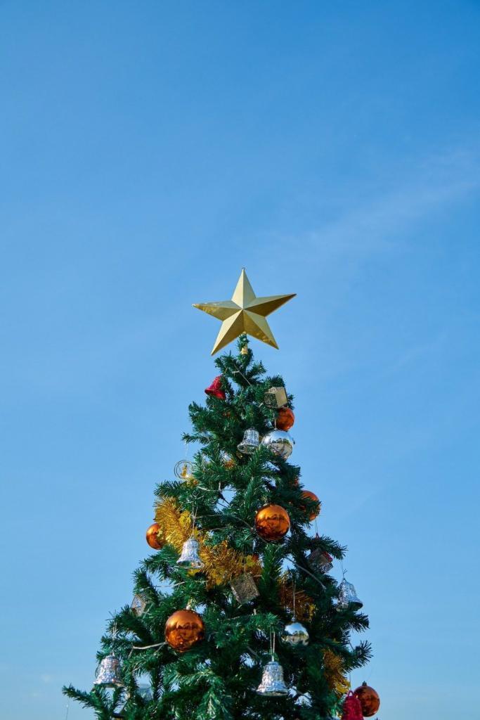 Weihnachtsbaum