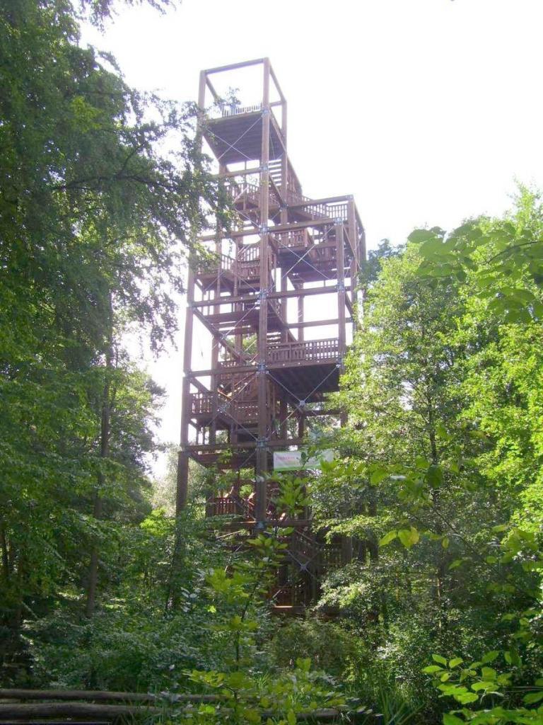 © LSV - Lehrter Sport Verein - Waldhochhaus